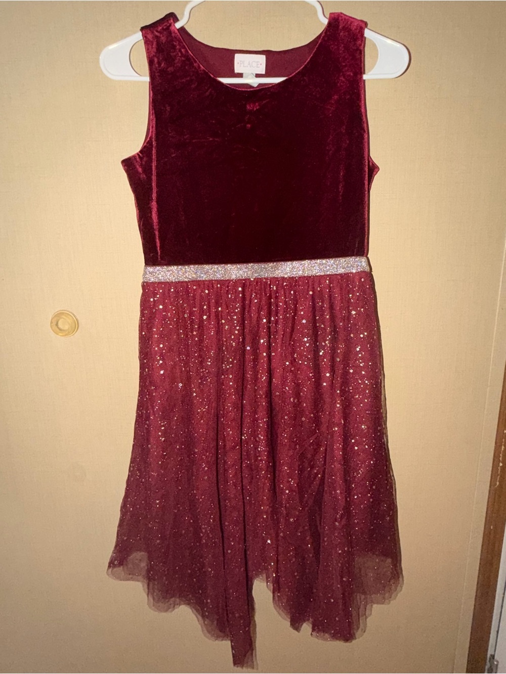 The Children's Place Burgundy Velvet & Glitter Tulle Dress